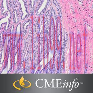 [AME]Gynecologic Pathology Masters of Pathology Series 2020 (CME VIDEOS)