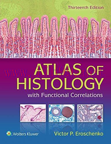 [AME]Atlas of Histology with Functional Correlations, 13th Edition (Original PDF)