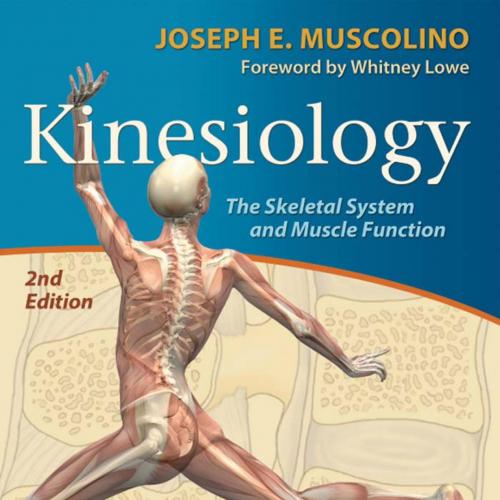 Kinesiology The Skeletal System and Muscle Function,2nd Edition-Wei Zhi