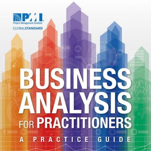Business Analysis for Practitioners A Practice Guide