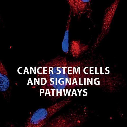 [AME]Cancer Stem Cells and Signaling Pathways (Original PDF)