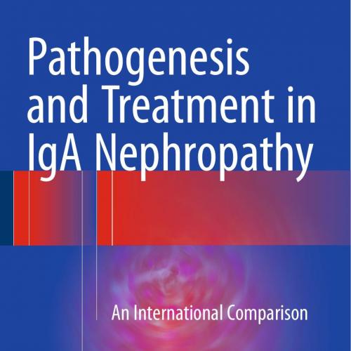 Pathogenesis and Treatment in IgA Nephropathy