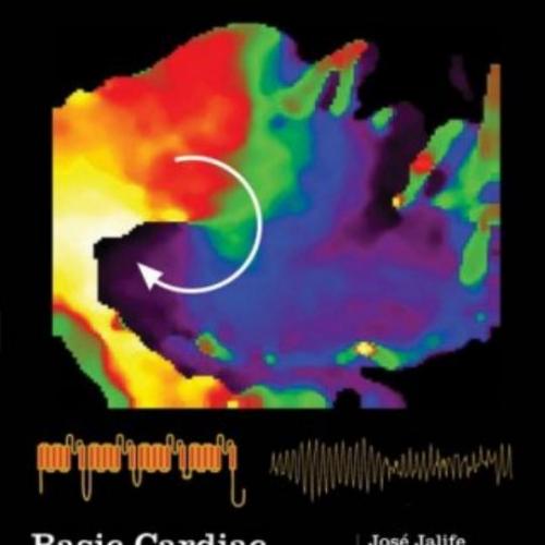 Basic Cardiac Electrophysiology for the Clinician 2nd Edition -, Mario Delmar, Justus Anumonwo,...