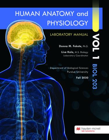 Human Anatomy and Physiology, Volume 1 Laboratory Manual BIOL 203