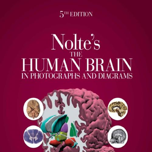 Nolte's The Human Brain in Photographs and Diagrams 5th - Todd Vanderah