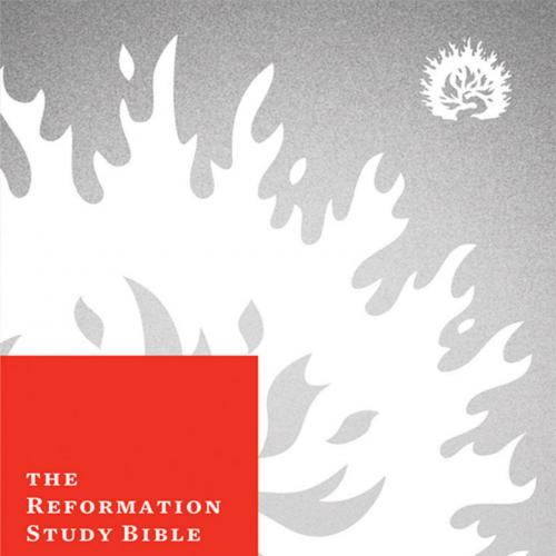 ESV Reformation Study Bible - The Reformation Study Bible