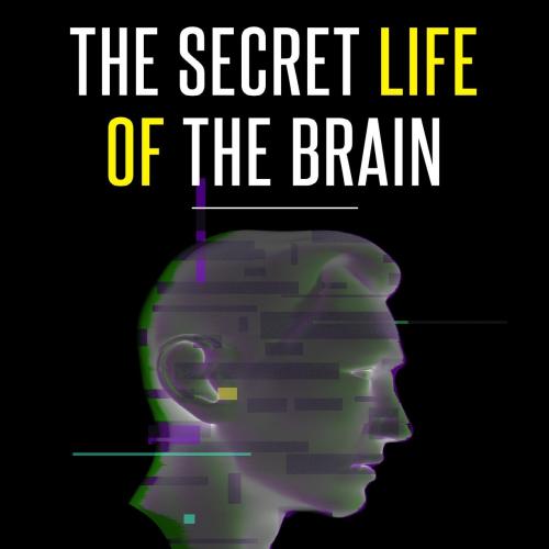 Secret Life of the Brain_ How to Master the Art of Persuasion aPsychology with Body Language Te...