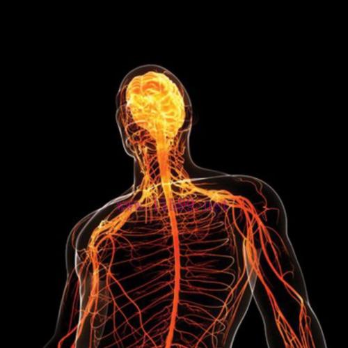 [AME]Comprehensive Review of Neurology 2021 (CME VIDEOS)