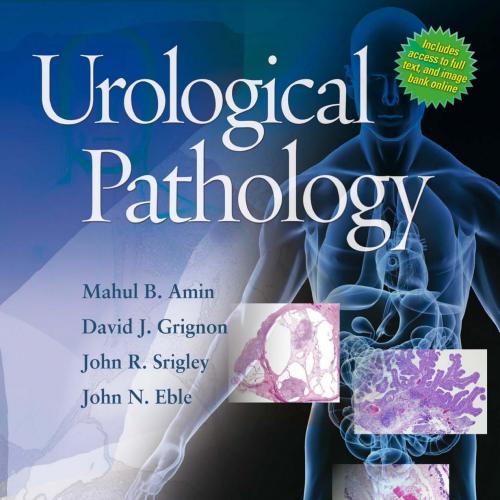 Urological Pathology - HP