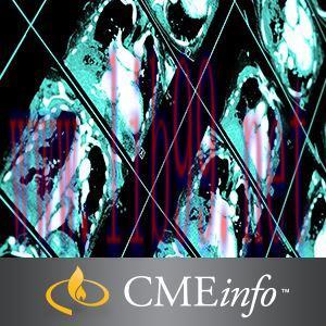 [AME]John Hopkins&rsquo; Computed Body Tomography: The Cutting Edge 2015 (CME Videos)