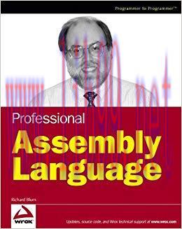 Professional Assembly Language 1st Edition,