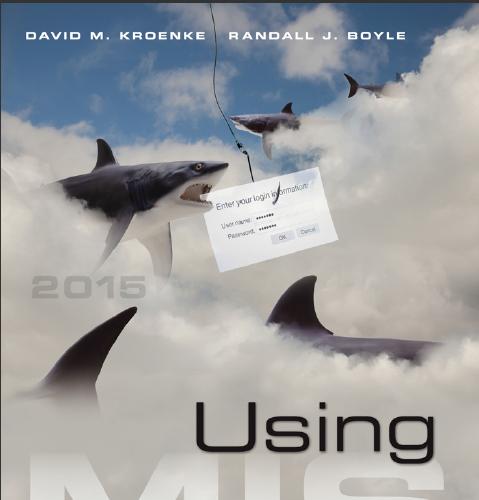 (Solution Manual)Using MIS 8th Edition by Kroenke.rar