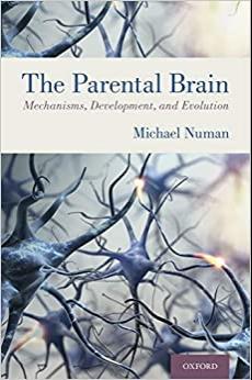 (PDF)The Parental Brain Mechanisms, Development, and Evolution