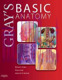 [AME]Gray&rsquo;s Basic Anatomy (Grays Anatomy for Students)