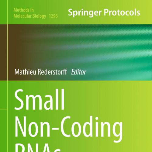 Small Non-Coding RNAs Methods and Protocols - Wei Zhi