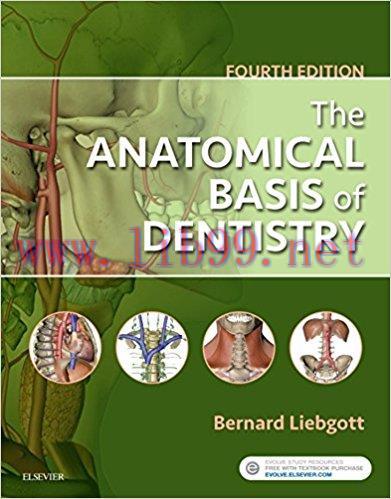 [AME]The Anatomical Basis of Dentistry, 4th Edition (EPUB)