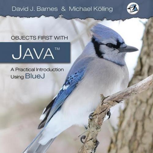 Objects First with Java A Practical Introduction Using BlueJ (6th Edition)