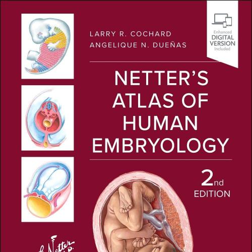Netter&rsquo;s Atlas Of Human Embryology, 2nd Edition (Original PDF)
