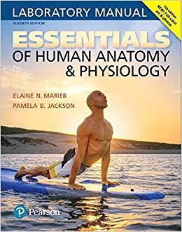 (PDF)Essentials of Human Anatomy & Physiology Laboratory Manual (7th Edition) 7th Edition