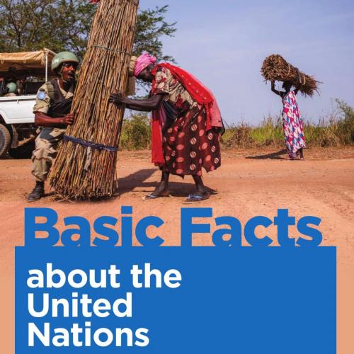 Basic Facts about the United Nations - Wei Zhi