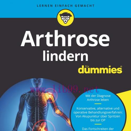 [AME]Arthrose lindern f&uuml;r Dummies (EPUB)