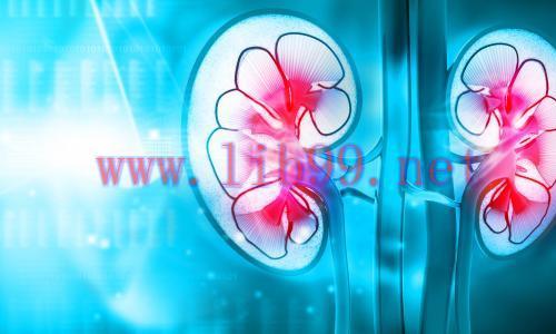 [AME]Harvard Intensive Review of Nephrology 2021 (CME VIDEOS)