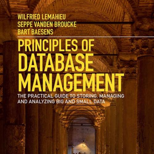 Principles of Database Manageme - Wilfried Lemahieu
