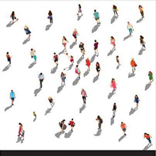 Disputed Moral Issues 5th Edition By Mark Timmons