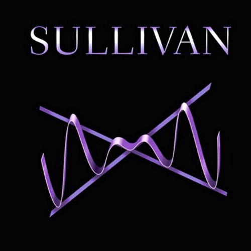 Precalculus 10th Edition by Michael Sullivan