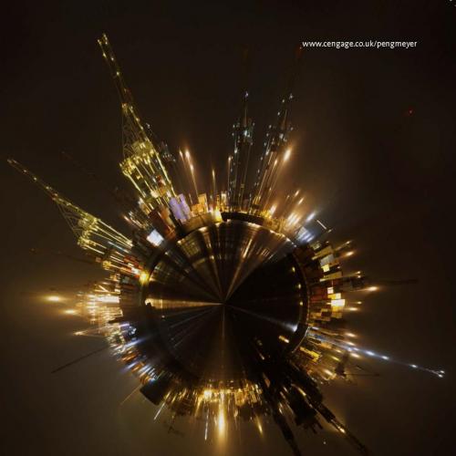 International Business 1st Edition by Mike W. Peng