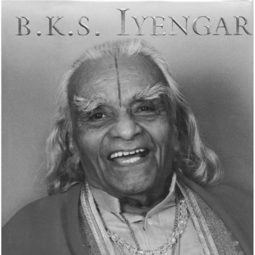 Light on Life The Yoga Journey to Wholeness, Inner Peace, and Ultimate Freedom 1th