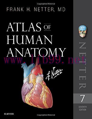 [AME]Atlas of Human Anatomy, 7e (Netter Basic Science) (Original PDF)