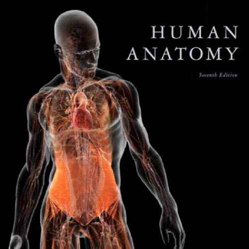 Human Anatomy 7th Edition by Martini