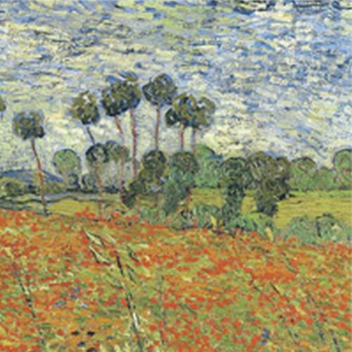 Araven Biology of Plants