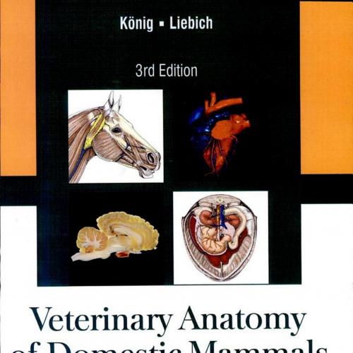 Veterinary Anatomy of Domestic Mammals