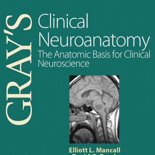 Gray''s clinical neuroanatomy The Anatomic Basis for Clinic