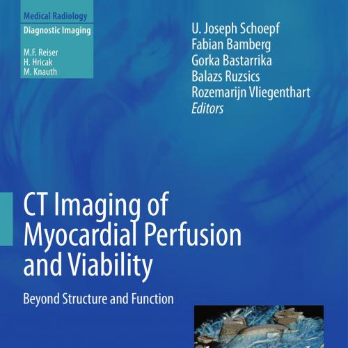 CT Imaging of Myocardial Perfusion and Viability Beyond Structure and Function