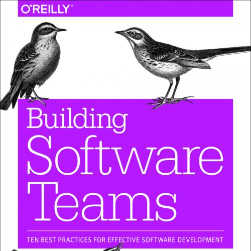 Building Software Teams