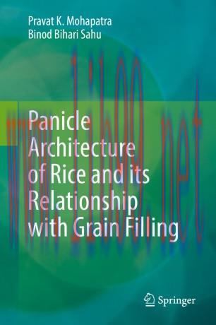 Panicle Architecture of Rice and its Relationship with Grain Filling
