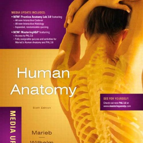 Human Anatomy 6th ed - Elaine N. Marieb