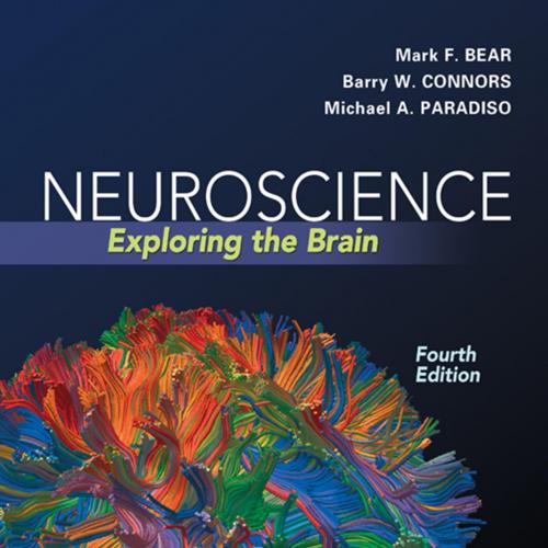 Neuroscience Exploring the Brain 4th Edition by Bear, Mark F - Mark F. Bear, Ph.D., Barry W. Co...