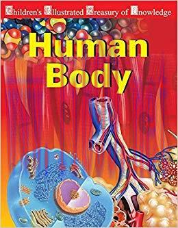 Human Body