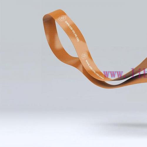 [AME]ASN Renal Physiology - Structure and Function in Kidney Health and Disease 2022 (On-Demand...