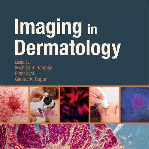 [AME]Imaging in Dermatology (Original PDF)