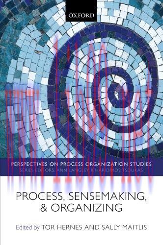 [FOX-Ebook]Process, Sensemaking, and Organizing