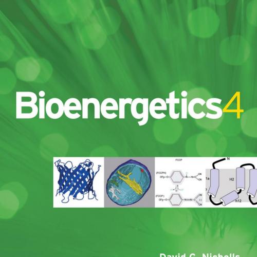 Bioenergetics, Fourth Edition 4th
