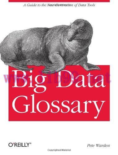 [FOX-Ebook]Big Data Glossary