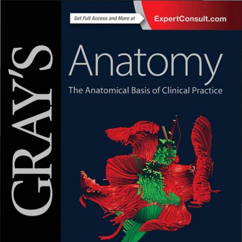 Gray's Anatomy The Anatomical Basis of Clinical Practice 41th Edition