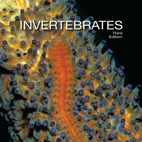 Invertebrates, Third 3rd Edition by Richard C. Brusca - Richard C. Brusca & Wendy Moore & Steph...