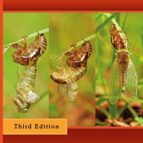 Insect Physiology and Biochemistry,3rd Edition - Wei Zhi